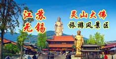 操屌视频免费看江苏无锡灵山大佛旅游风景区